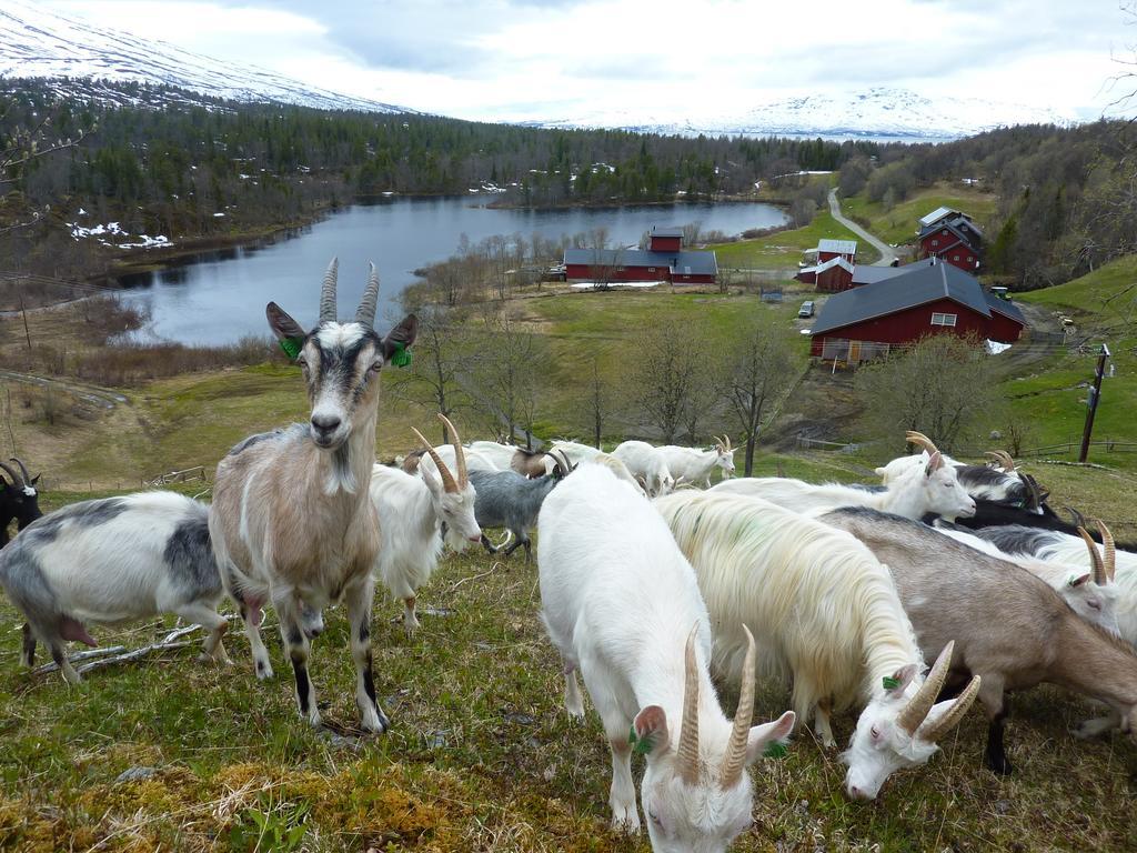 Saeterstad Gard Varntresk Exterior photo